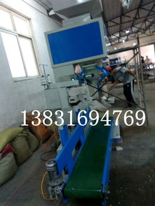 糧食定量包裝機 化工粉劑稱重計量包裝秤 顆粒定量包裝機 ,大城縣華創(chuàng)保溫機械設備廠